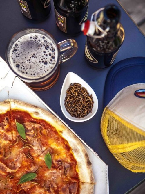 Domácí degustace piva s pivovarem Zlatá Kráva - balíček "Pivní speciály " + bedna 6 druhů piva