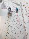 Dárek Individuální lekce lezení na stěně pro děti