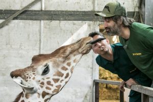 Ošetřovatelem v ZOO