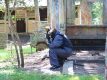 Dárek Paintball