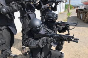 Jednotka rychlého nasazení SWAT