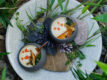 Omakase: Šestichodové degustační menu pro dva