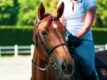 Zážitek Den na ranči pro milovnici koní