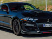 Zážitek Jízda ve Ford Mustang GT na Masarykově okruhu