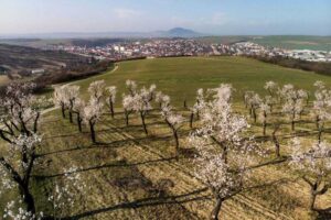Zážitek Pobytový balíček hotelu Wine Wellness Hotel Amande: Jsem na dovolené
